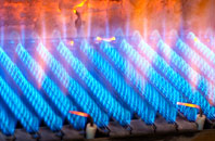 Walton Heath gas fired boilers